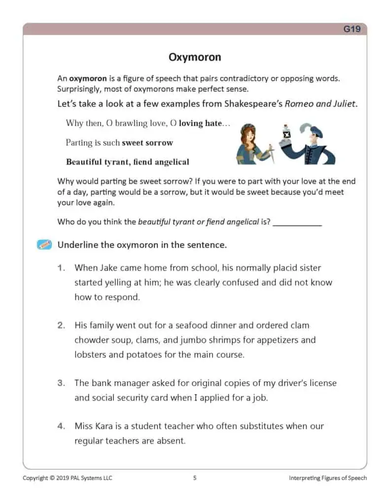 English Level G Book 19